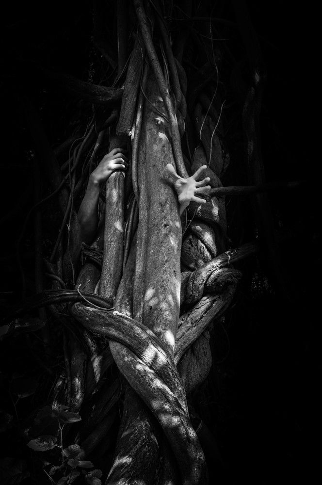 Photograph by robin alin