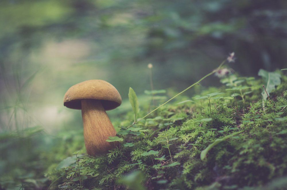 Photograph by robin alin