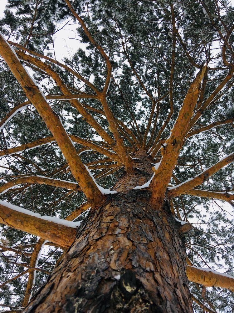 Photograph by Лена Лазарева