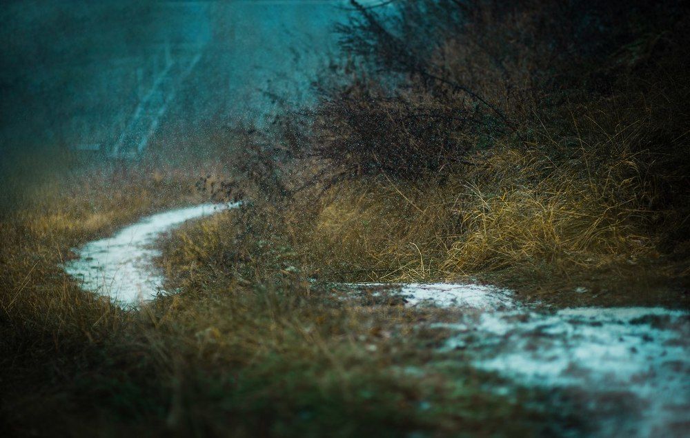 Photograph by Ольга