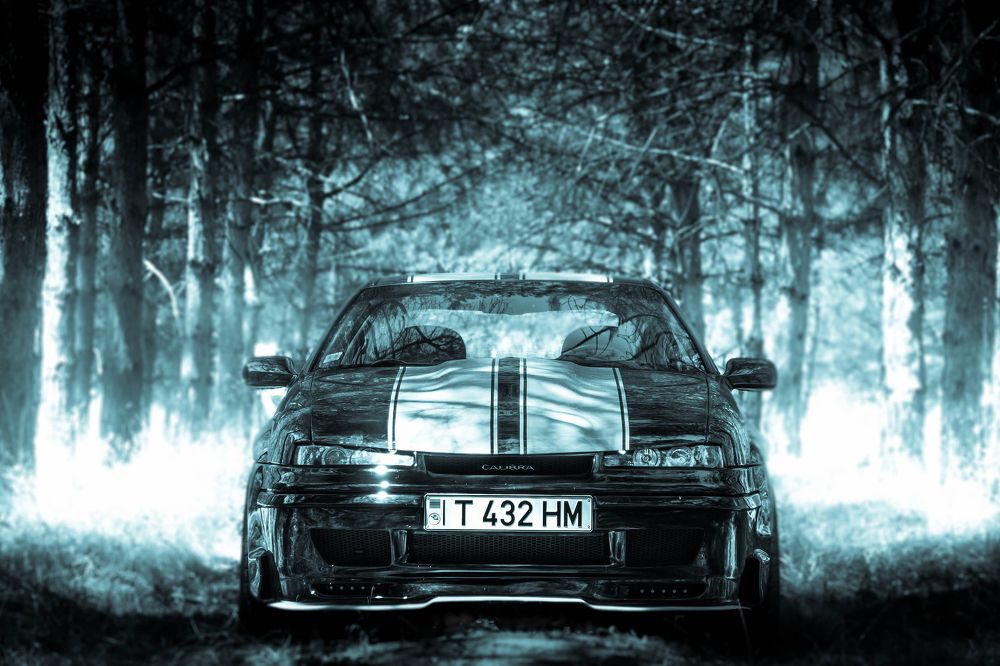 Поворот в загадочный лес