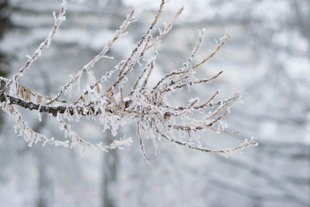 Photograph by Кристина (catykristi) Данилова