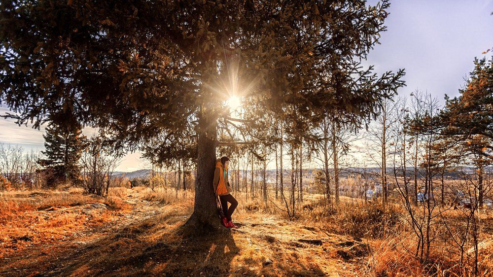 Photograph by Ян Панов