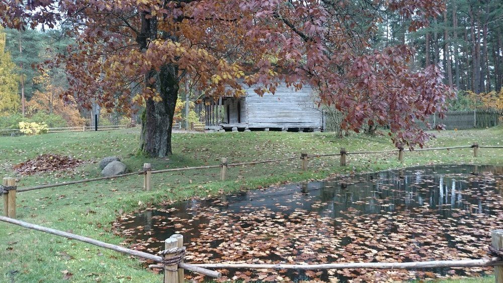 Autumn in Latvia