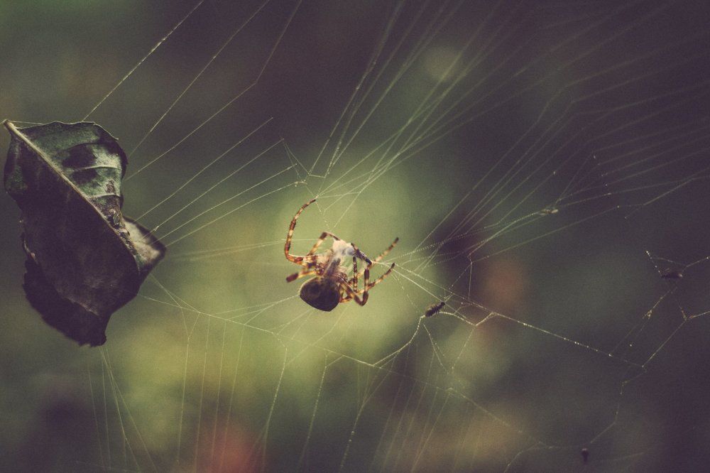 Photograph by Марина Ушакова