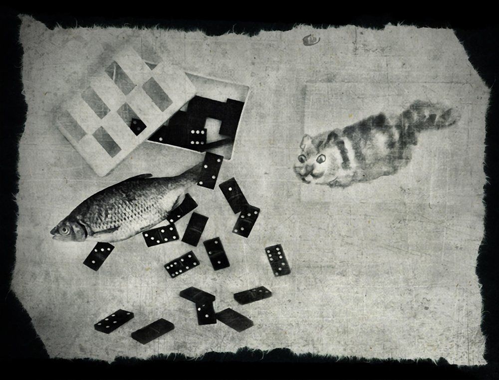 Где ловить рыбу