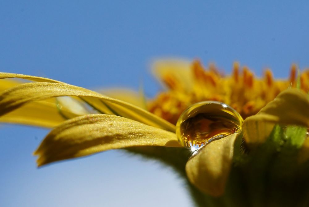 Photograph by Александр Попов