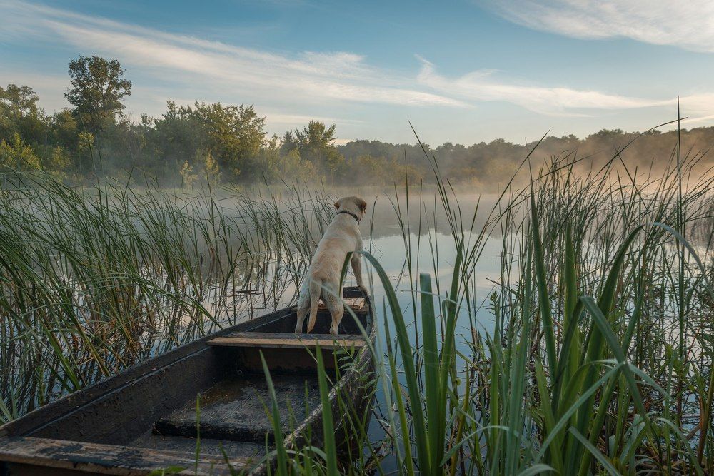Рассвет на реке Воронеж