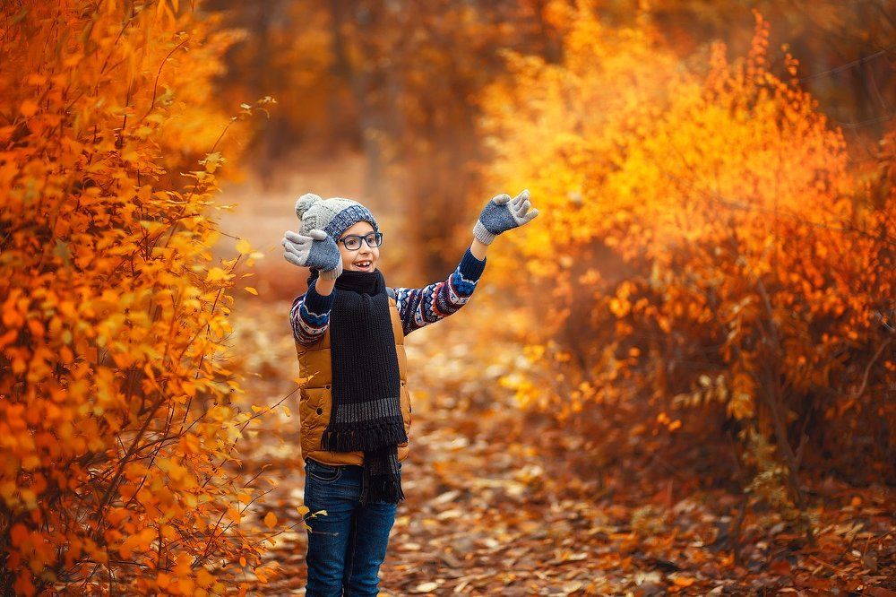 Краски осеннего настроения