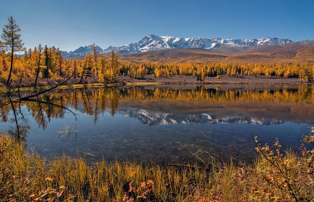 Озеро Лесное...
