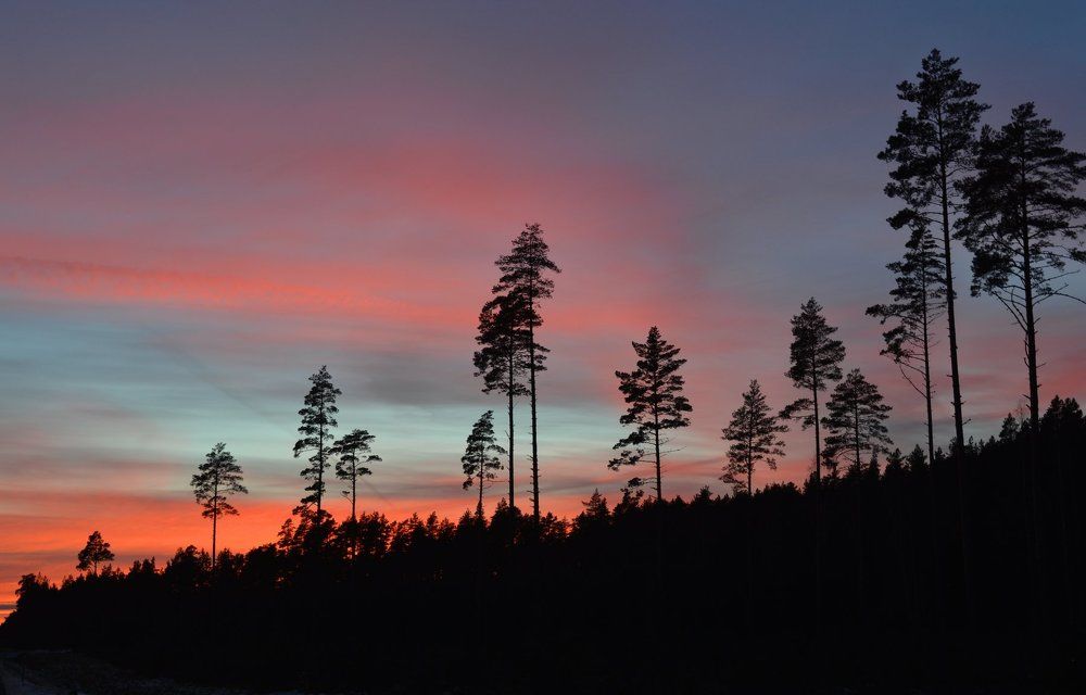 в ожидании следующего дня