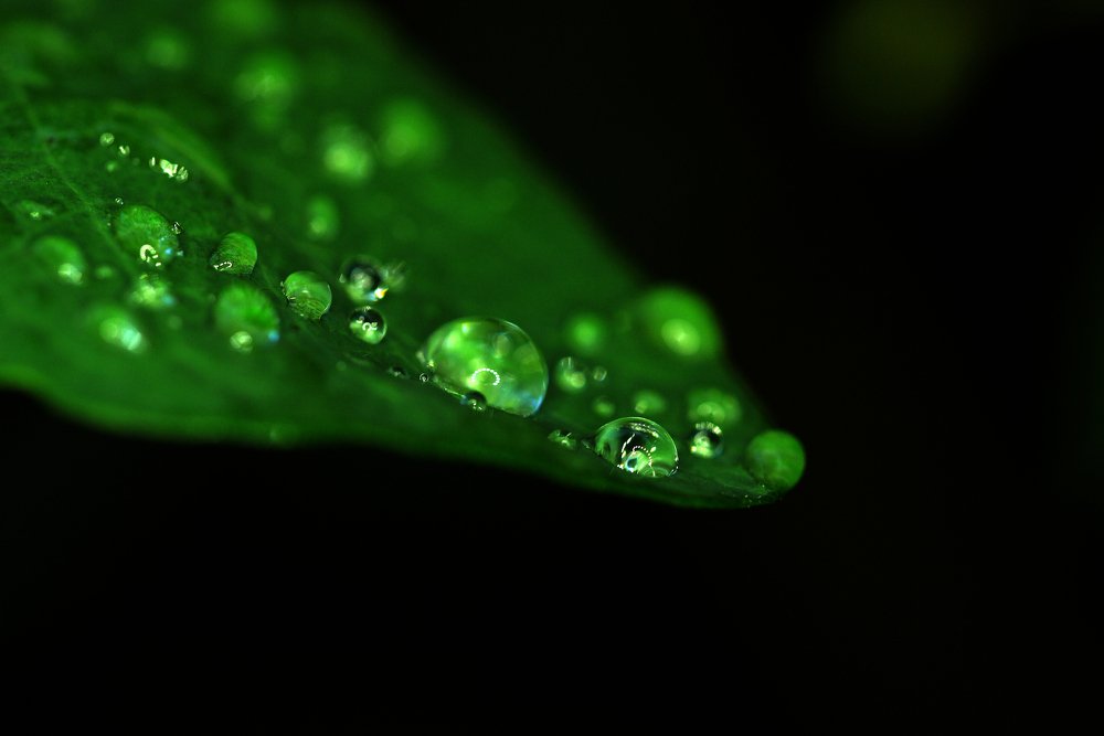 Photograph by Тим Талер