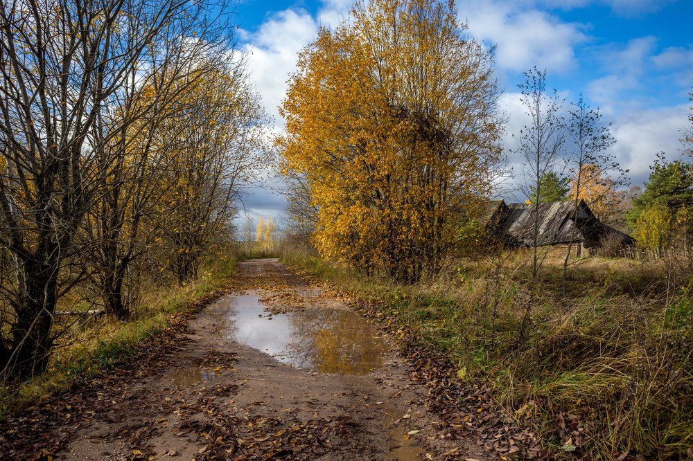 Деревенская дорога