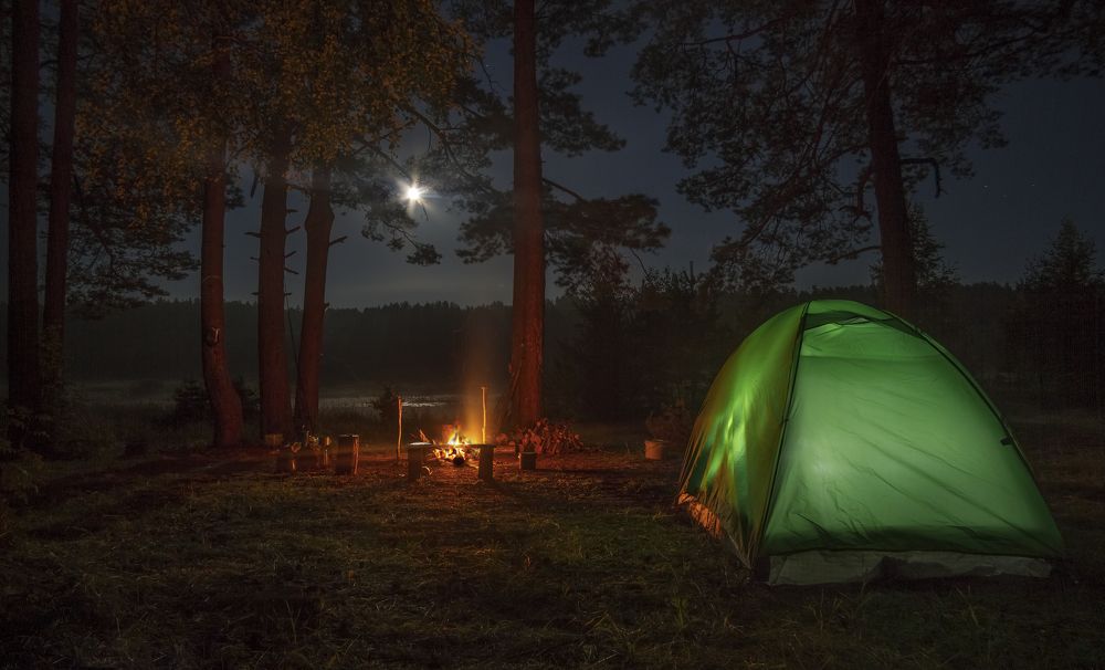 Лунная ночь