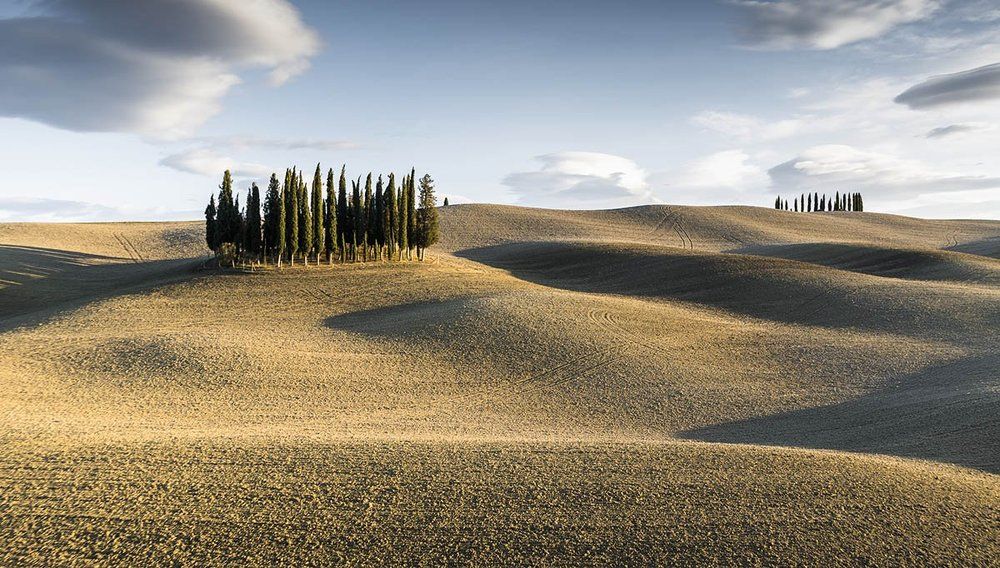 Оазис в пустыне