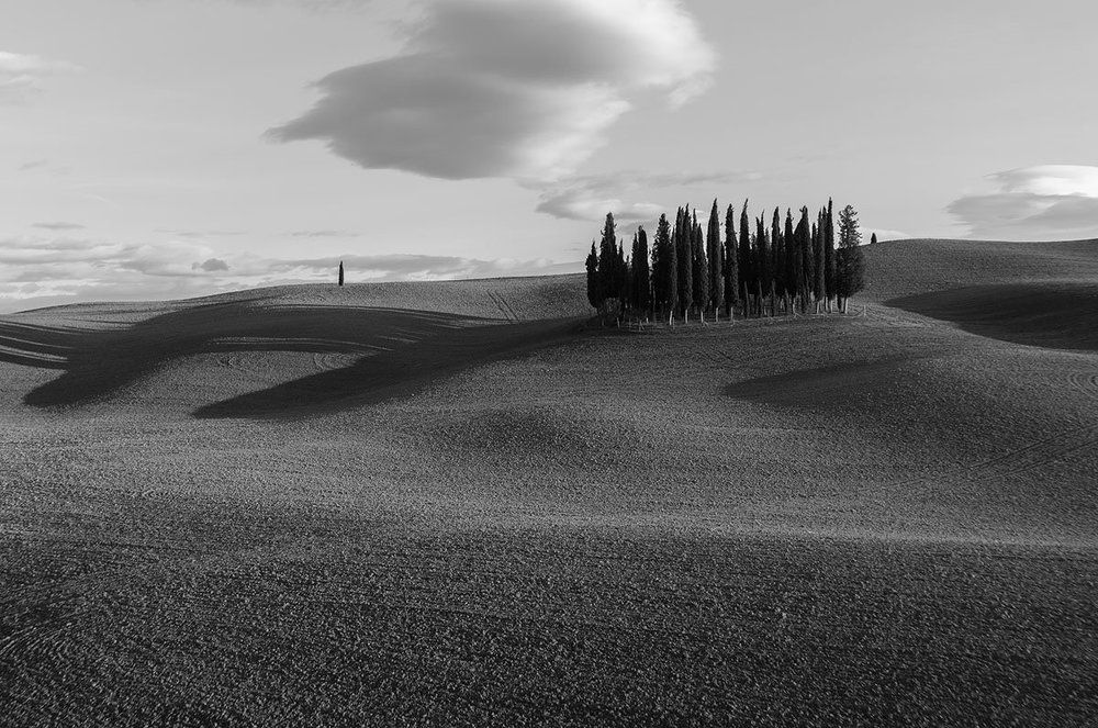 Поля Тосканы