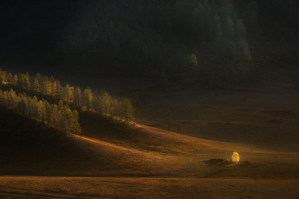 Осень на Алтае