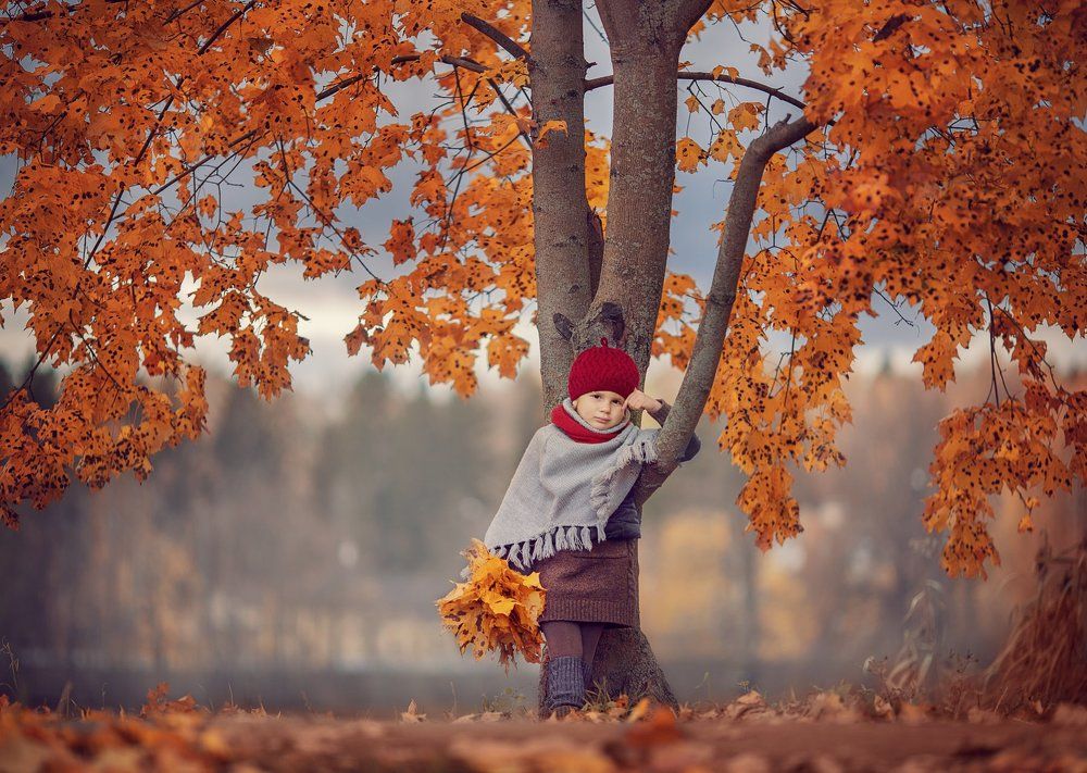 Фотография автора Александра Черемохина