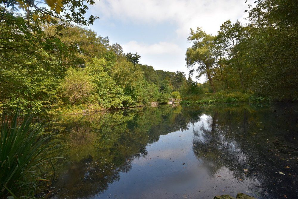 Thhe magic of nature.