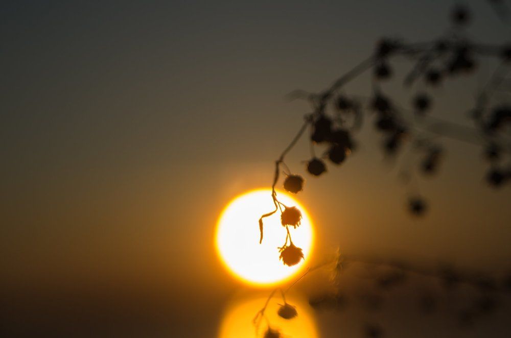 Фотография автора Константин Яковлев