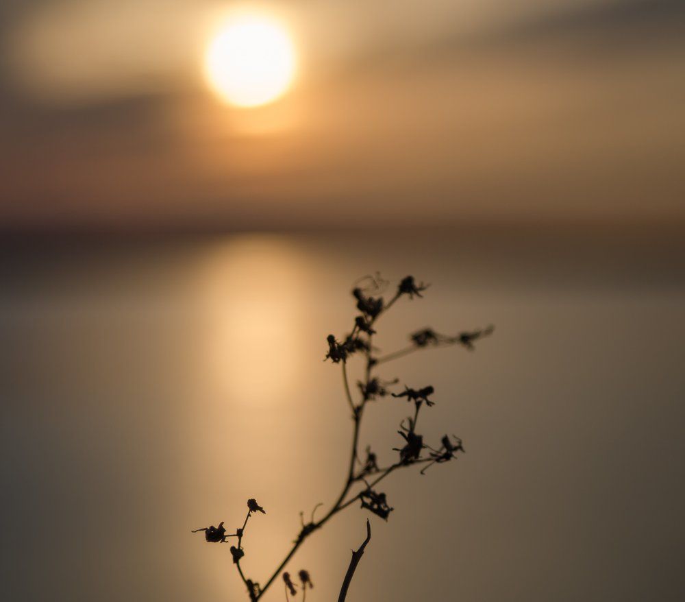 Фотография автора Константин Яковлев