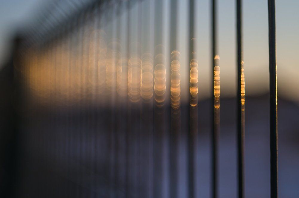 Фотография автора Константин Яковлев