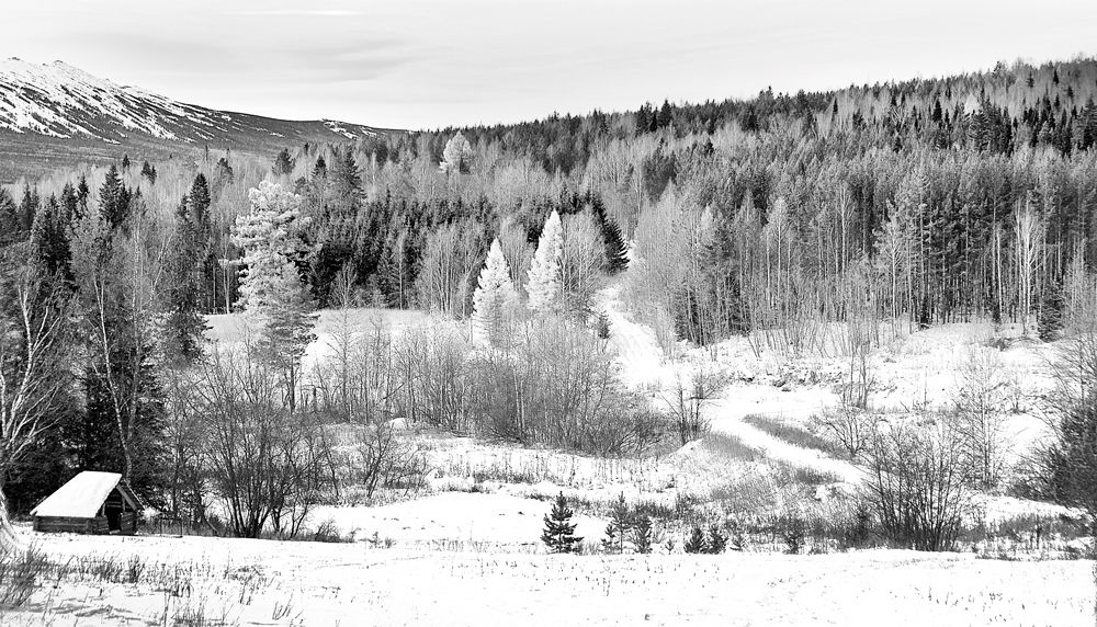 Морозный денек