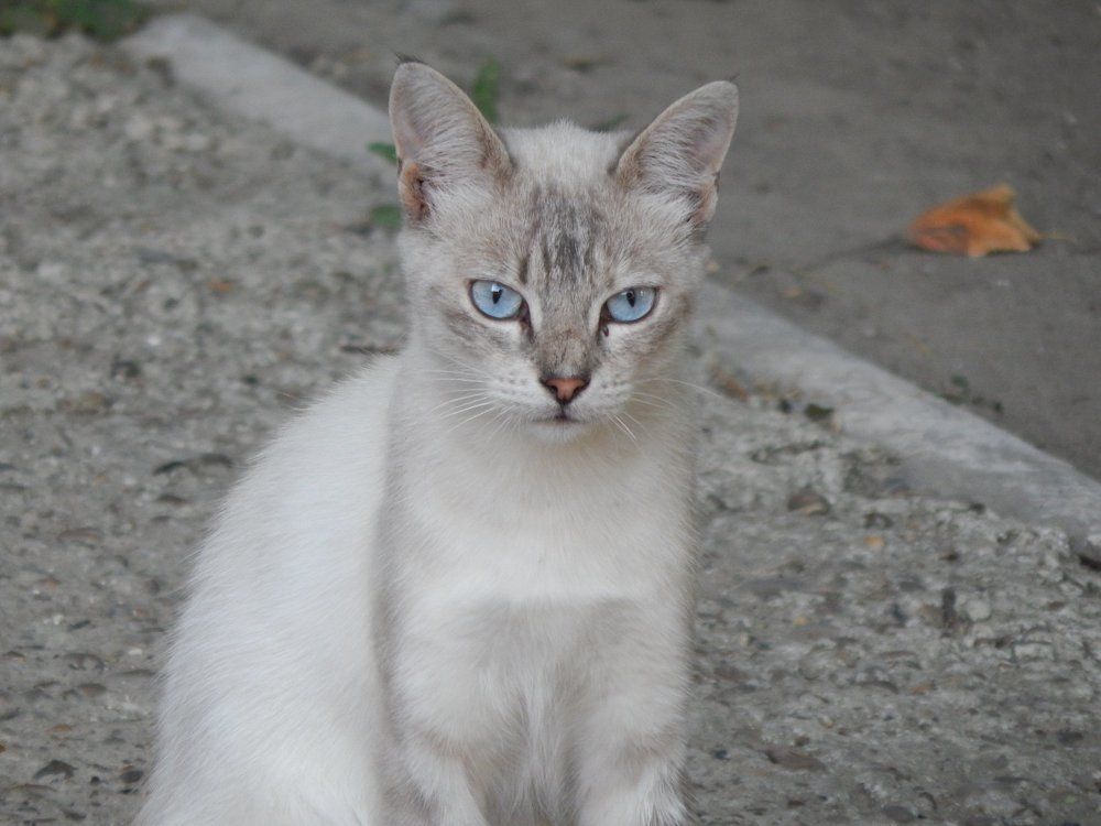 Photograph by Алена