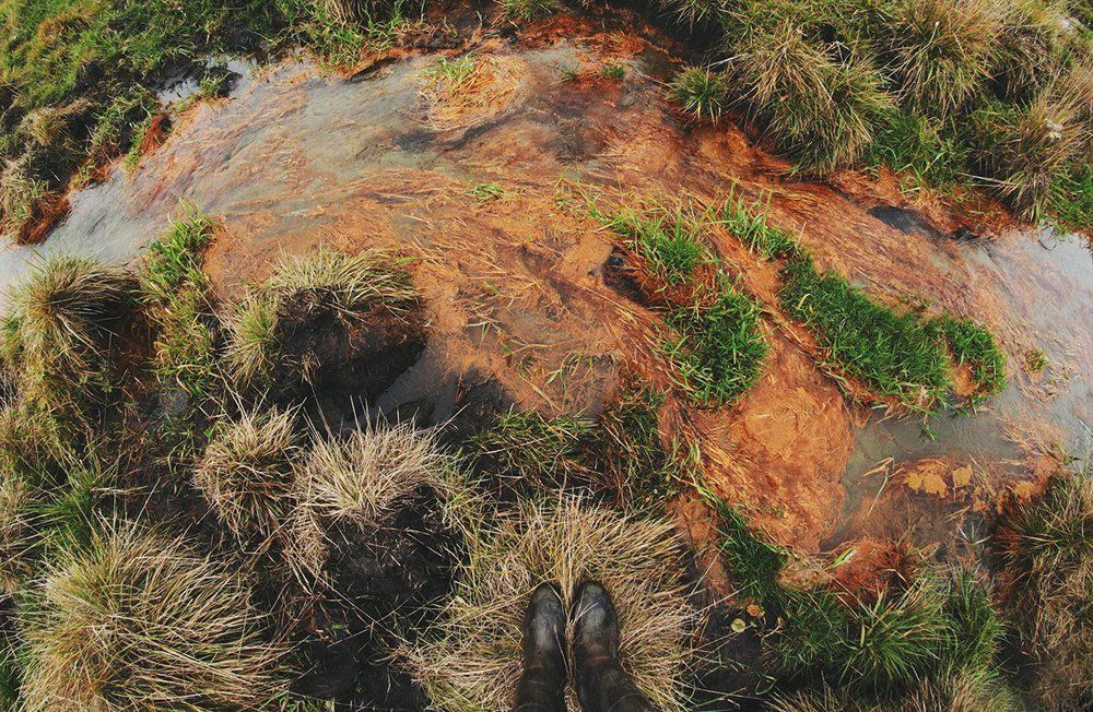 Ржавая осень