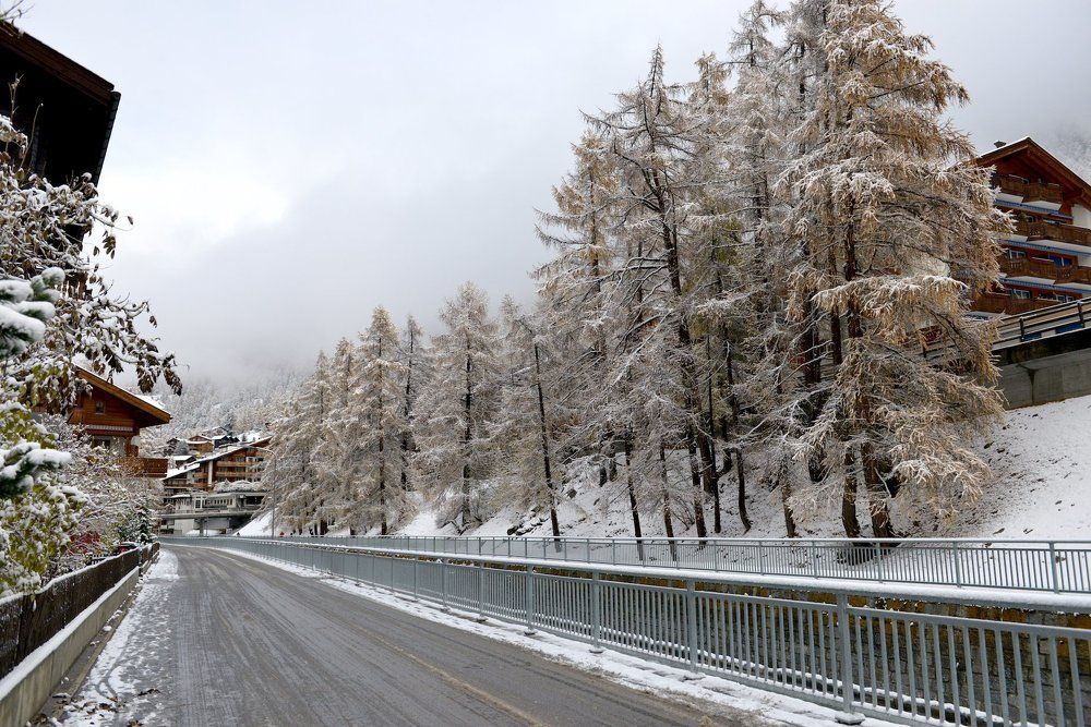 Фотография автора Степин Геннадий