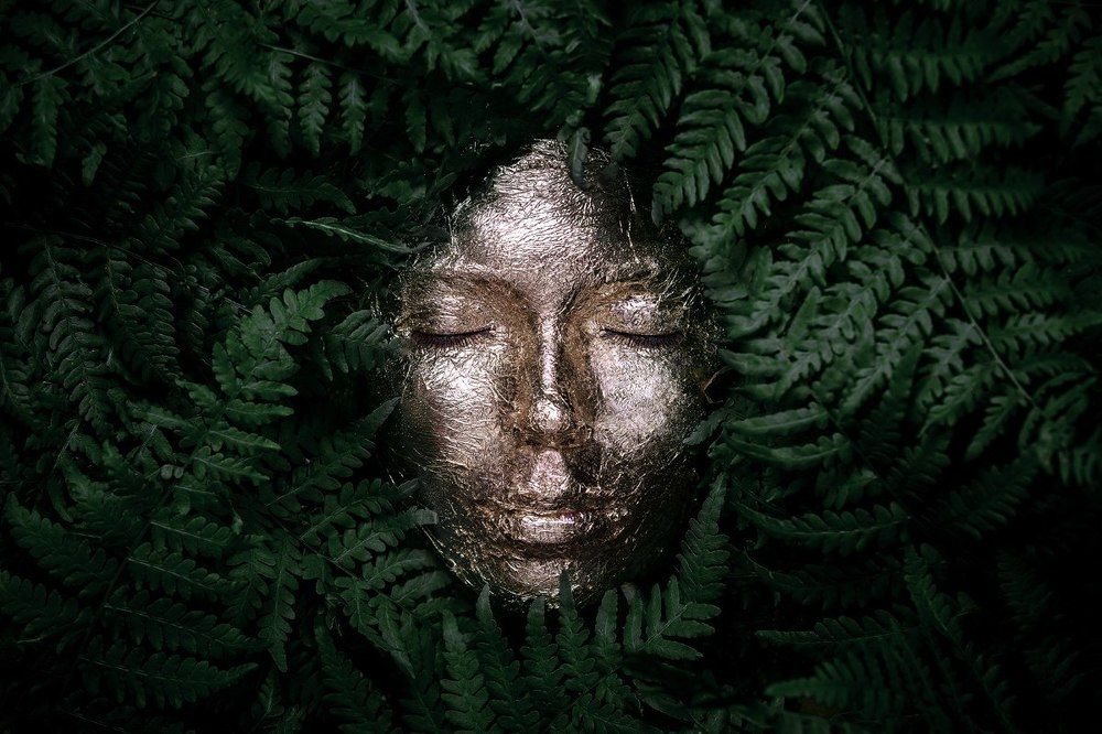 Photograph by Тодоров Димитър