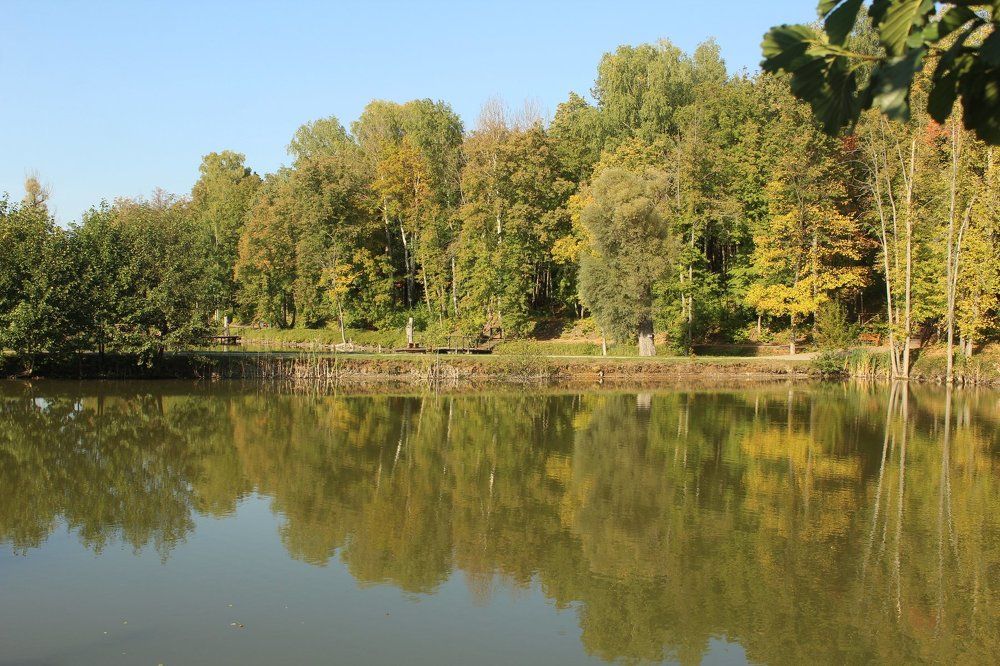 Photograph by Юлия Шибаева