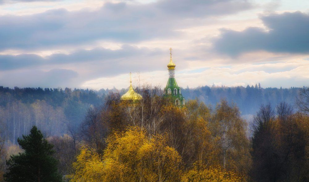 Купола среди ветвей