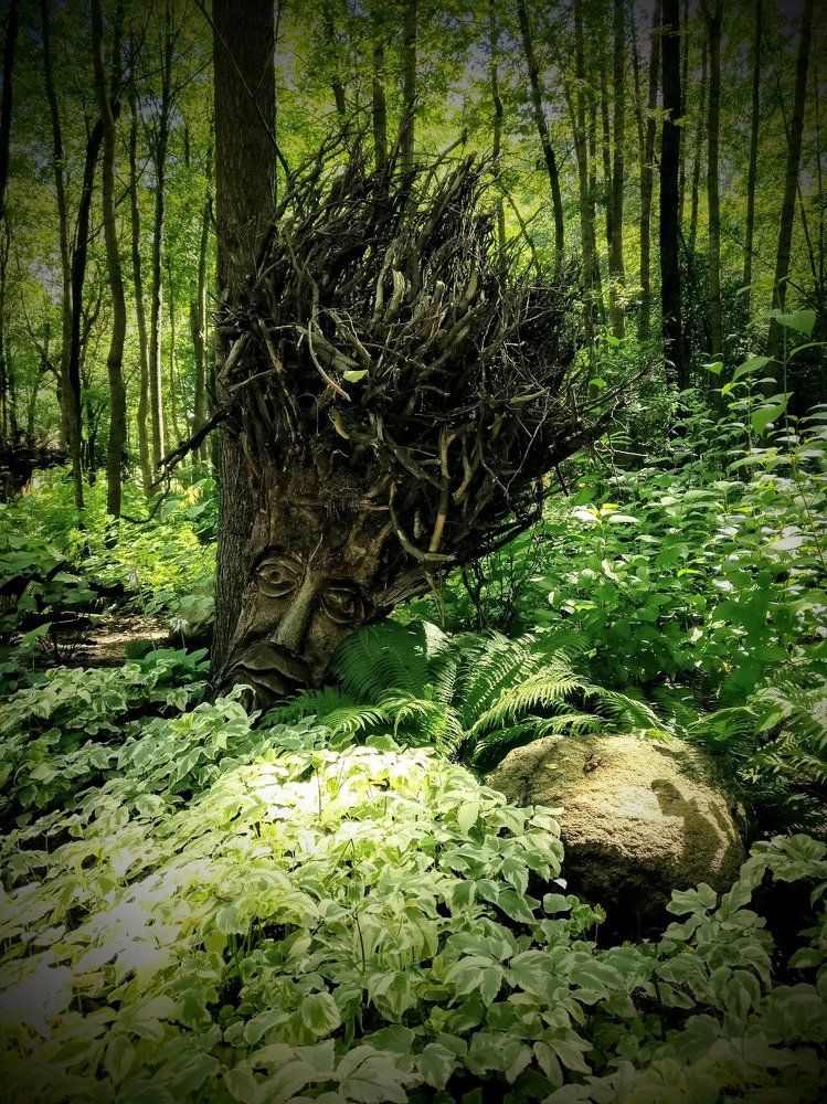 Голова в лесу