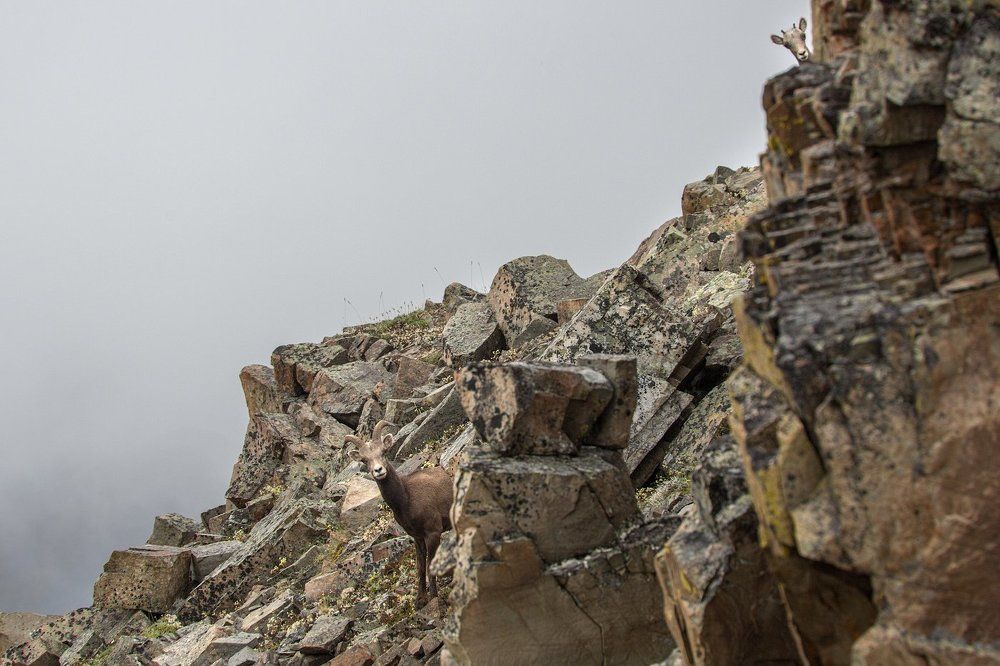 Игра в прятки