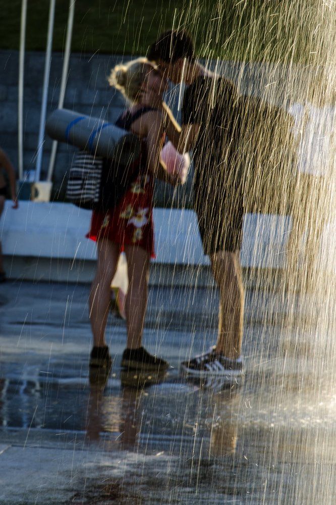 Золотой дождь