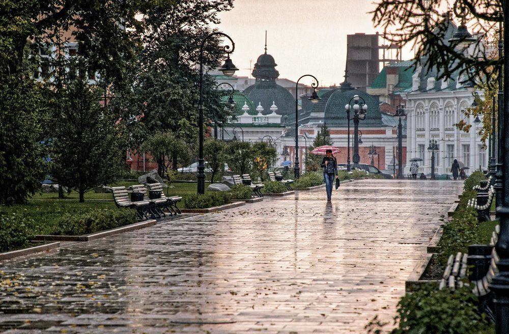 Осенний дождь