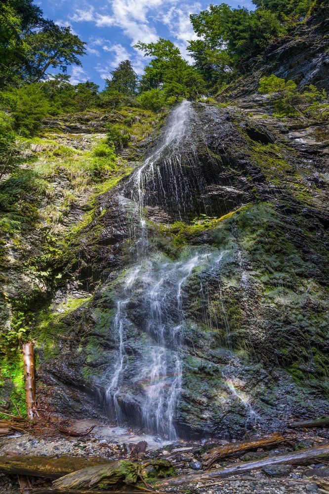 И радуга блеснула