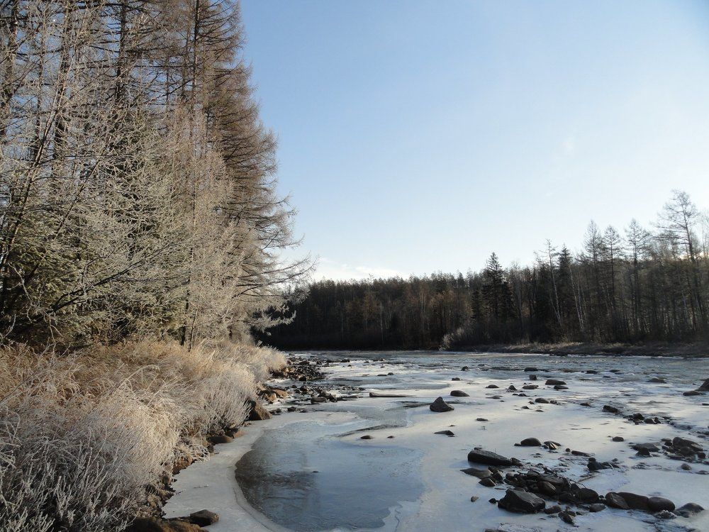 Photo #2065371