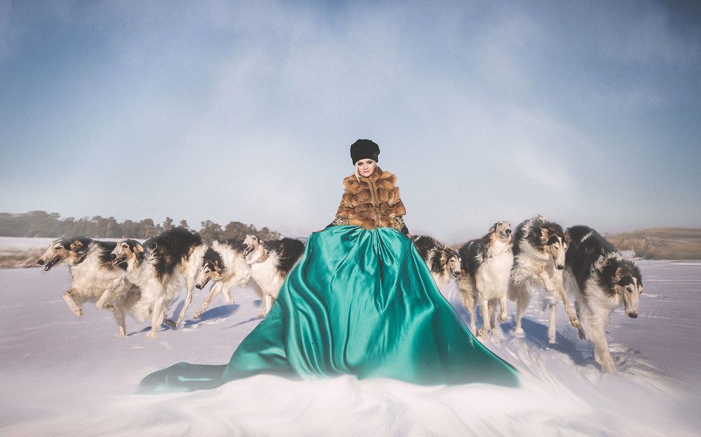 Арктический Ветер