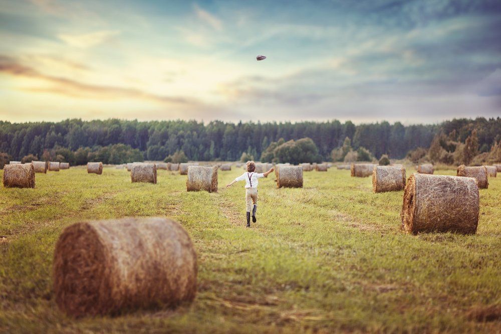 После сенокоса