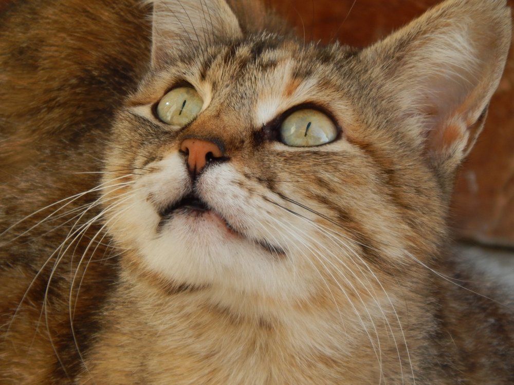 Photograph by Алена