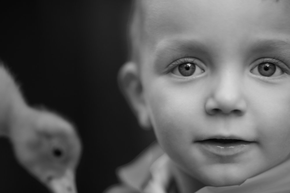 Photograph by Новицкая Татьяна