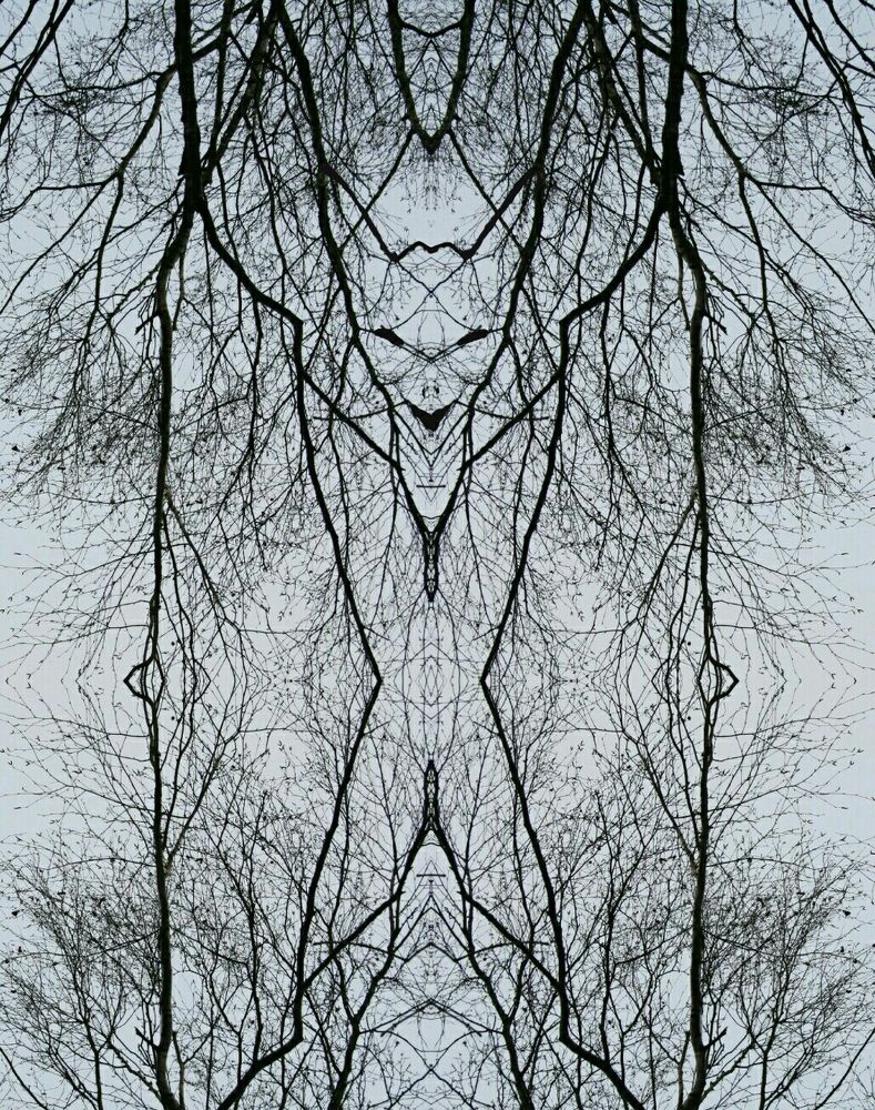 Между ветвей...