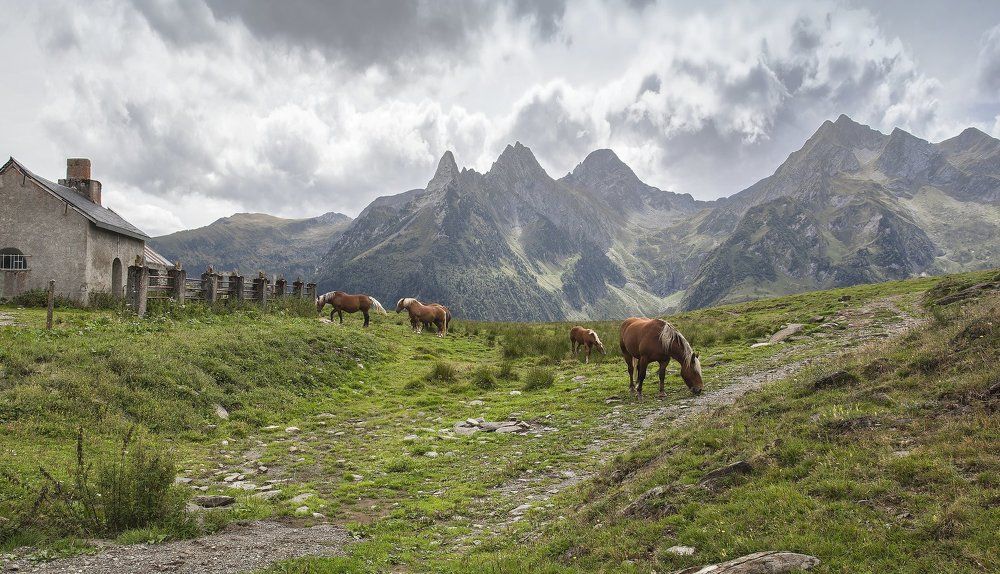 В Пиренеях.