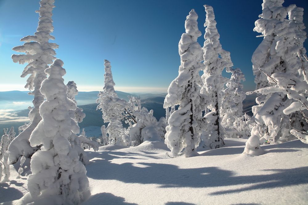 Снежная осень.