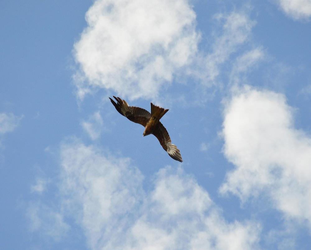 Photograph by Игорь Матюнин