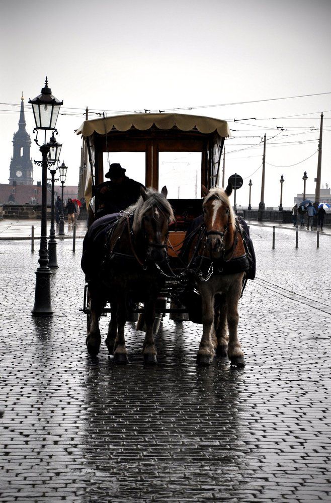Дрезден. Возница