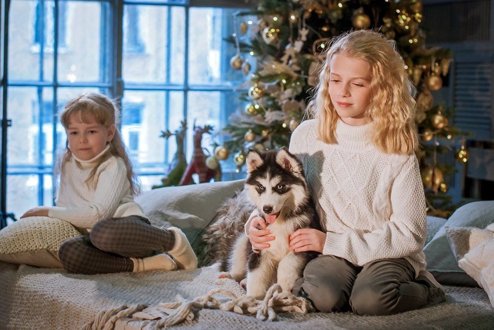 Морозным вечером