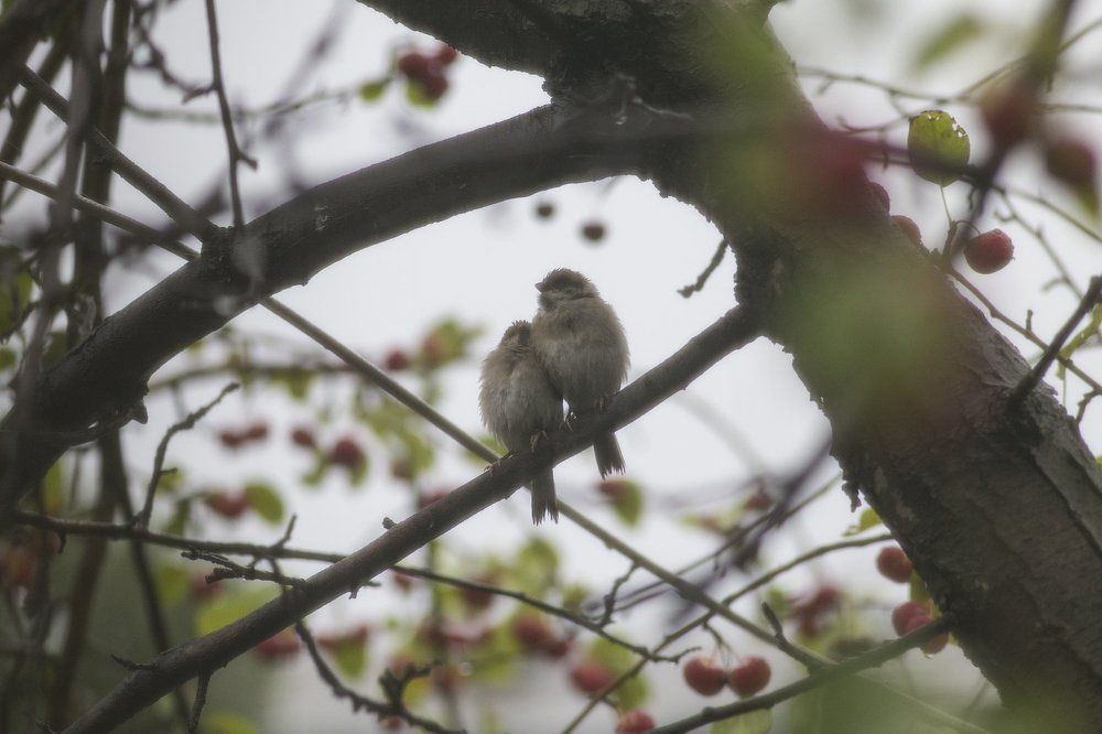 Переждем вместе.